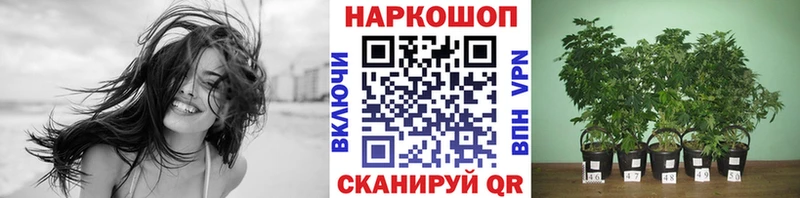Наркошоп купить Alpha PVP  КОКАИН  МЕФ  Гашиш  Дигора