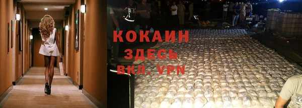 прущий лед Козловка
