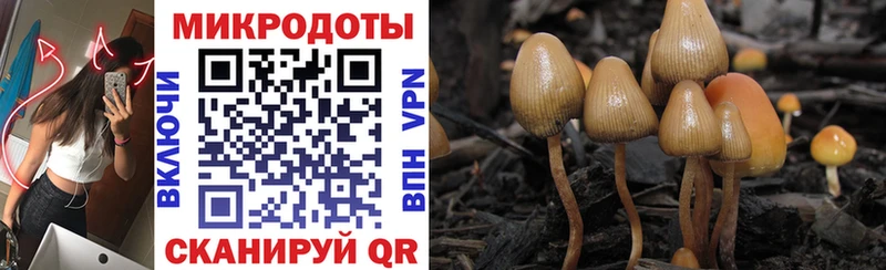 Купить где  Дигора  Галлюциногенные грибы Magic Shrooms 